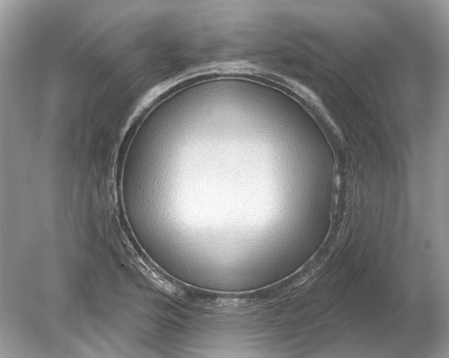 X0000078891176200612042042