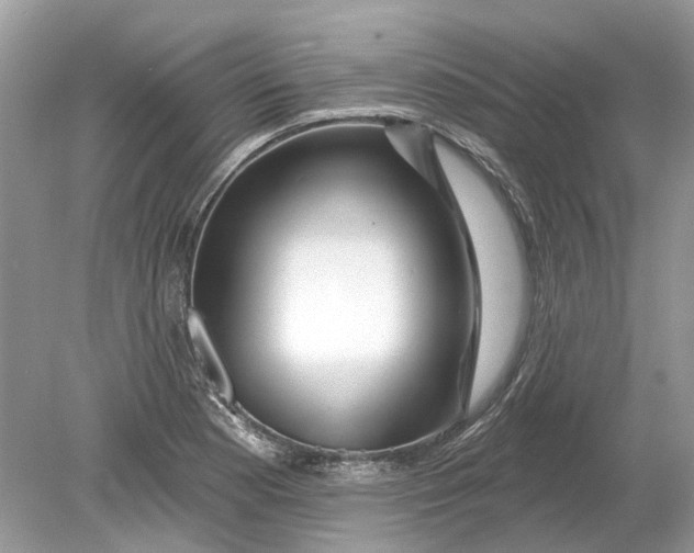 X0000078891177200612042042