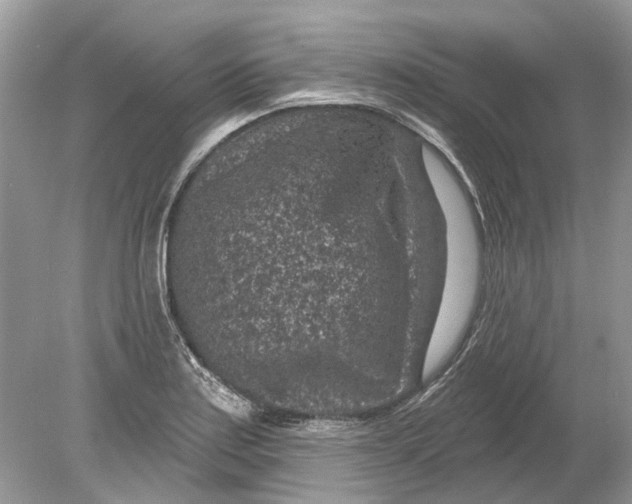 X0000078891179200612042042