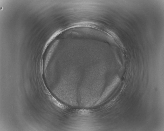 X0000078891180200612042042