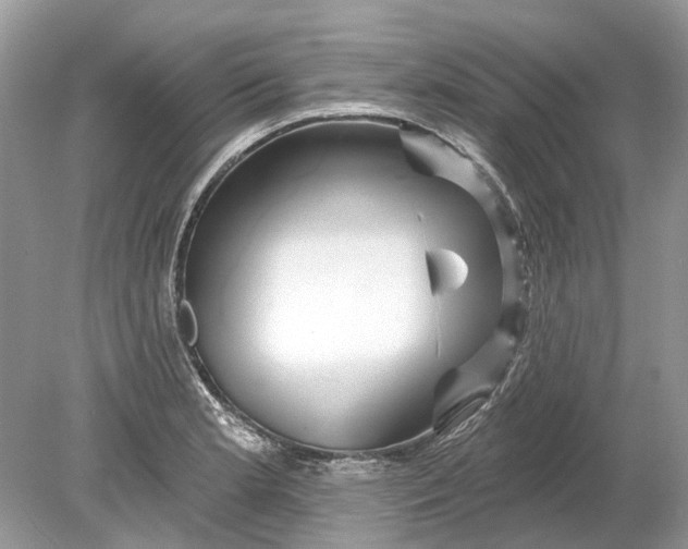 X0000078891181200612042042