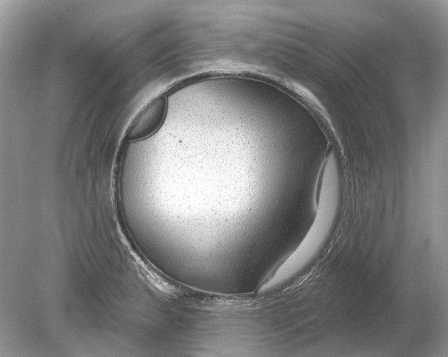 X0000078891183200612042042