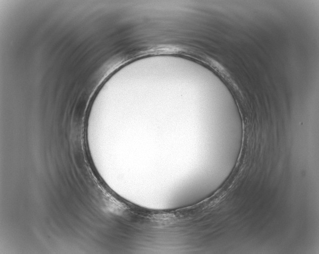 X0000078891186200612042042