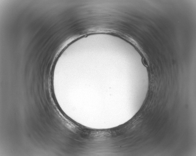 X0000078891187200612042042