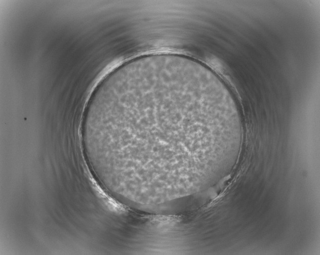 X0000078891189200612042042