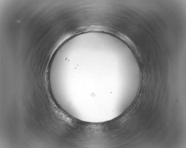 X0000078891190200612042042