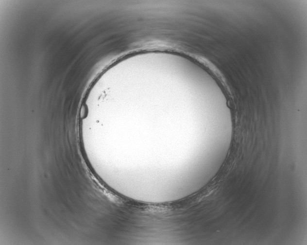 X0000078891191200612042042