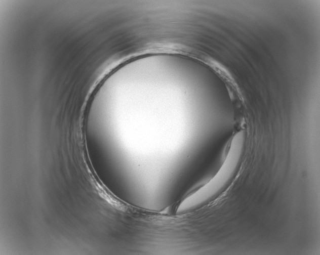 X0000078891192200612042042