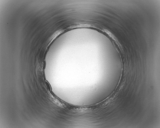 X0000078891193200612042042