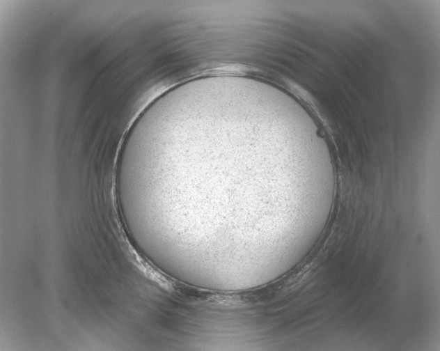 X0000078891194200612042042