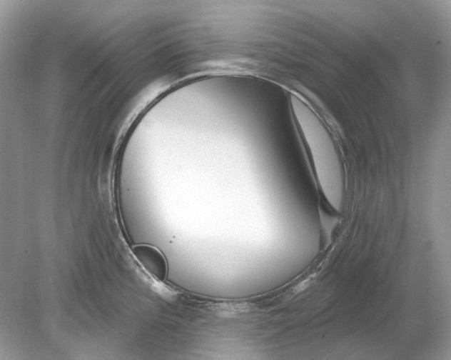 X0000078891196200612042042