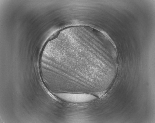 X0000078891197200612042042