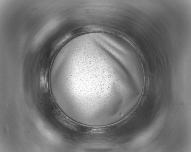 X0000078891198200612042042