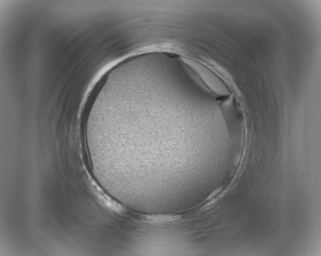 X0000078891200200612042042