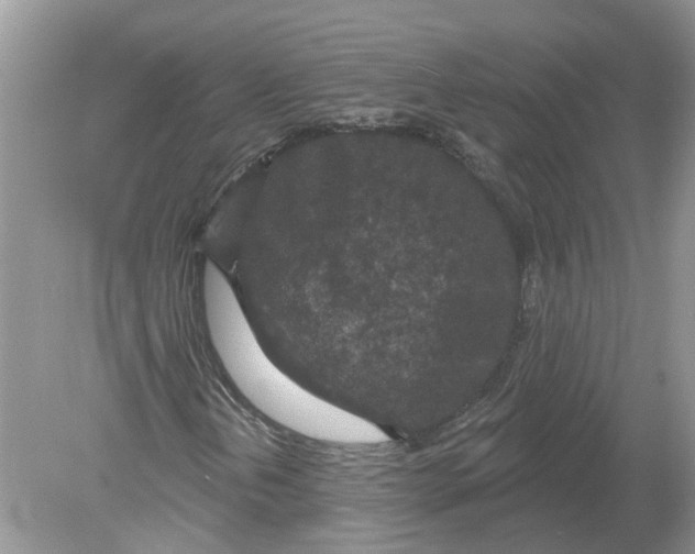 X0000078891202200612042041