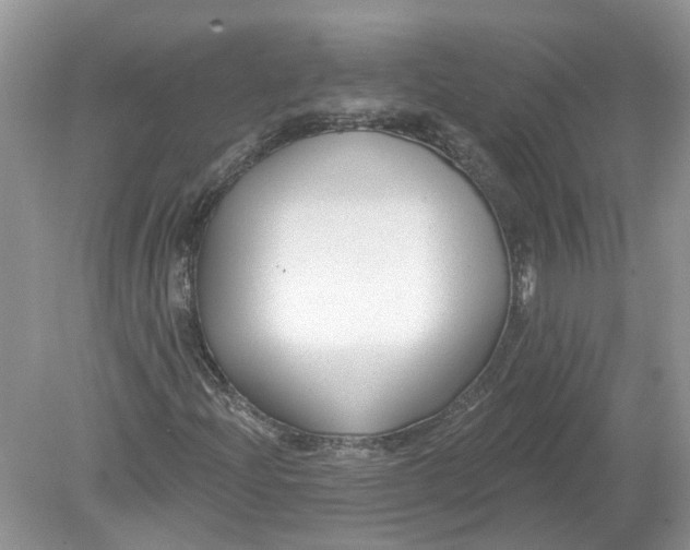 X0000078891204200612042041