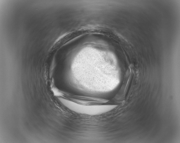 X0000078891206200612042041