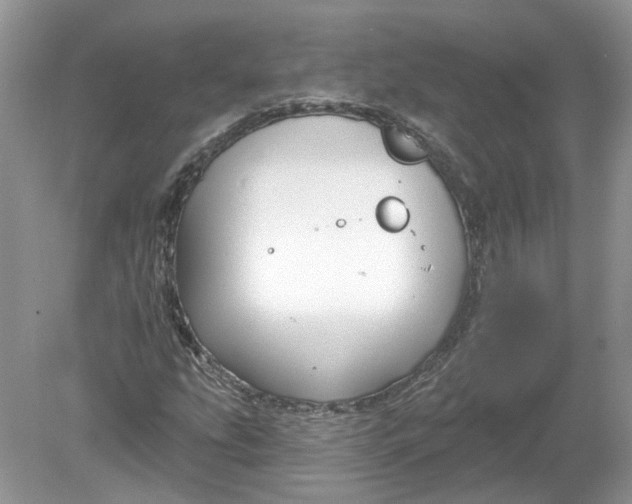 X0000078891207200612042041