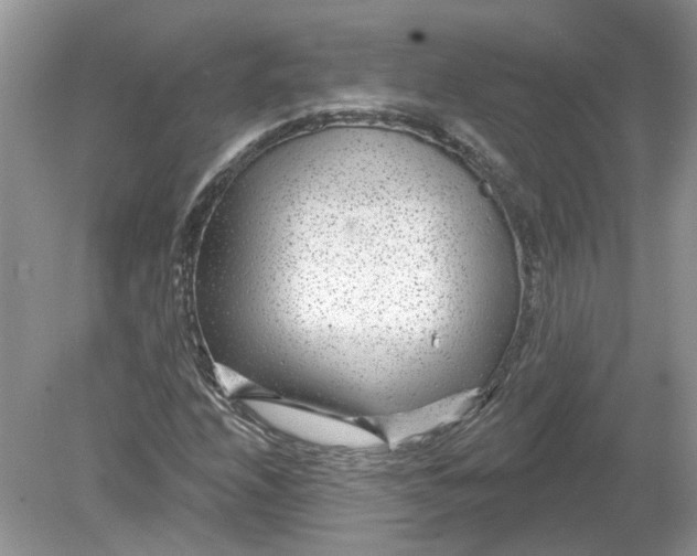 X0000078891208200612042041