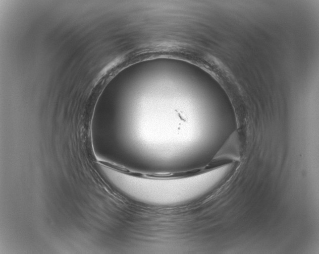 X0000078891210200612042041