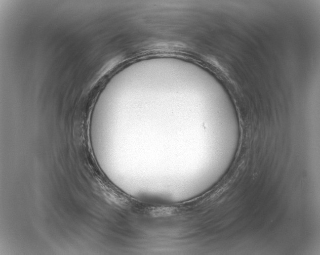 X0000078891211200612042041