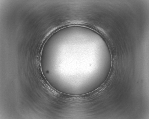 X0000078891212200612042041