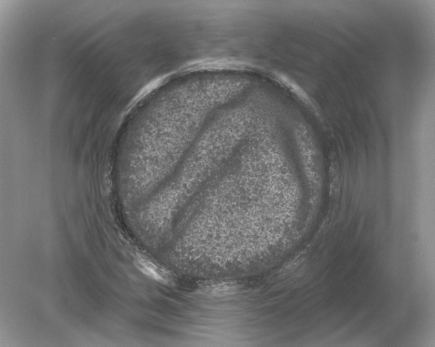 X0000078891213200612042041