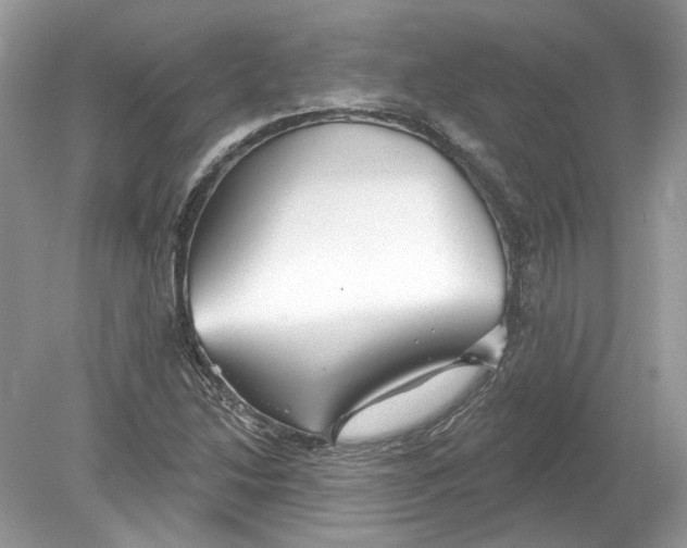 X0000078891214200612042041