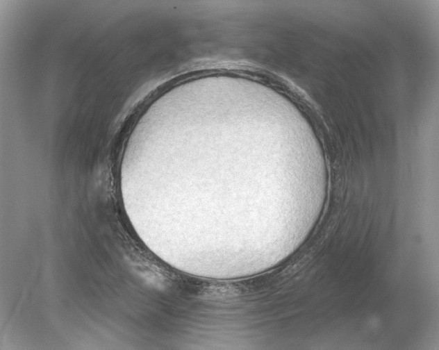 X0000078891215200612042041