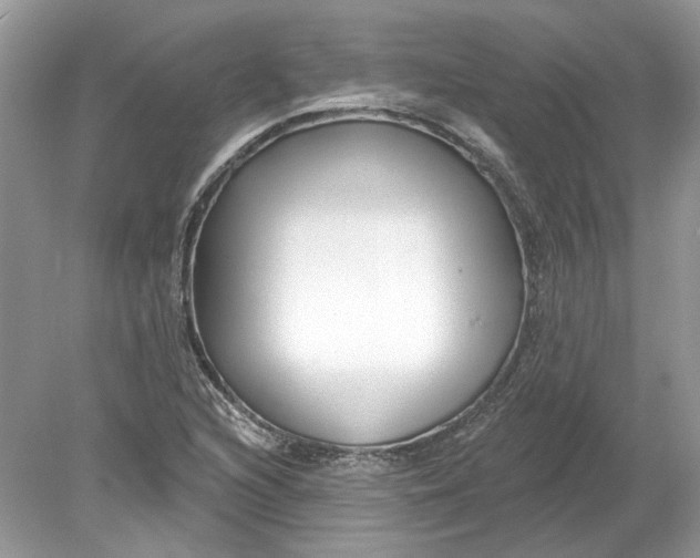 X0000078891216200612042041