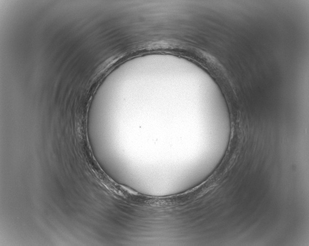 X0000078891217200612042041