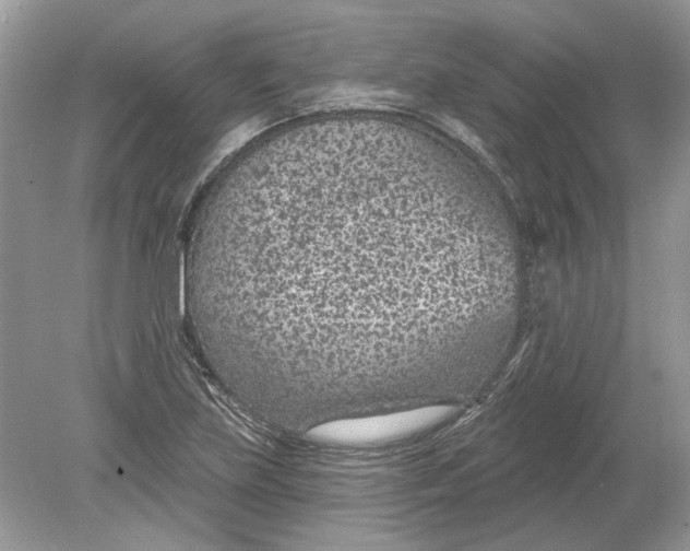 X0000078891219200612042041