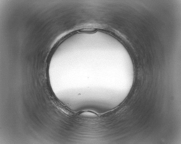 X0000078891222200612042041