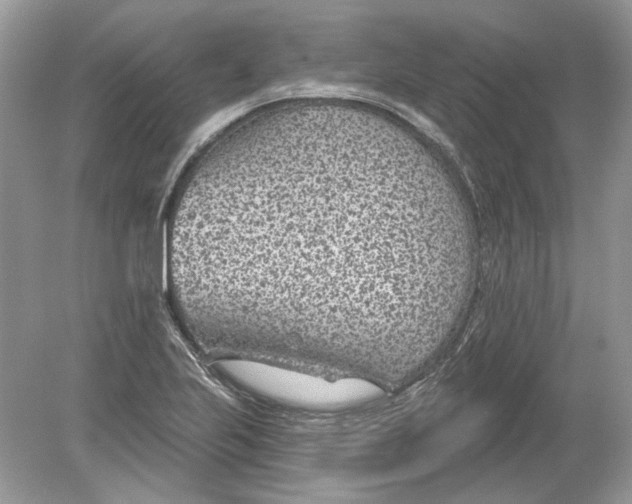 X0000078891223200612042041