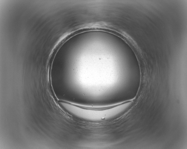 X0000078891224200612042041