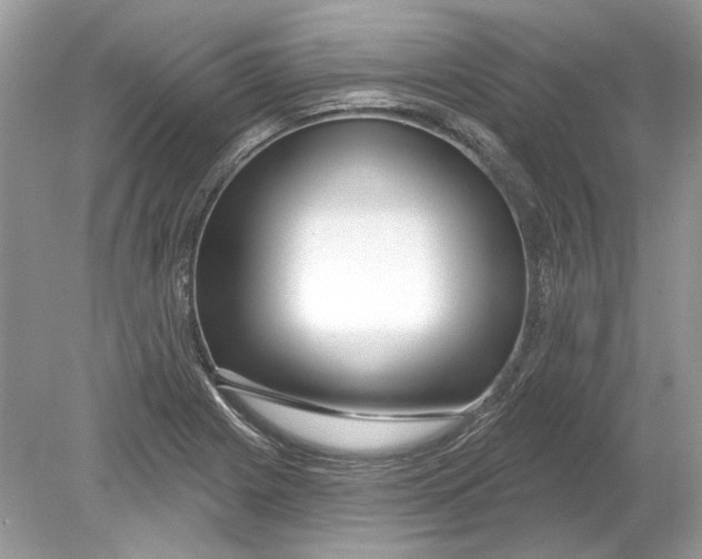 X0000078891225200612042041