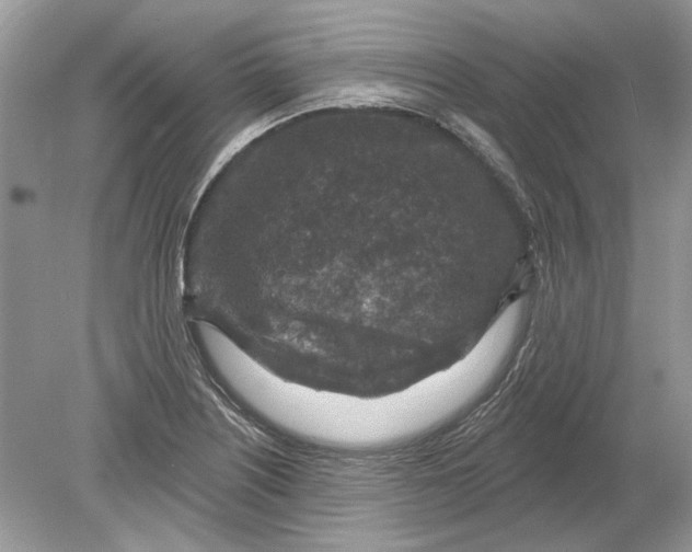 X0000078891226200612042041