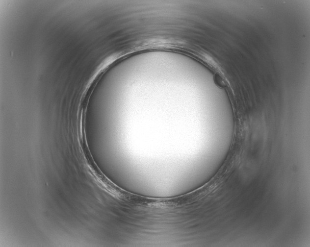 X0000078891227200612042041