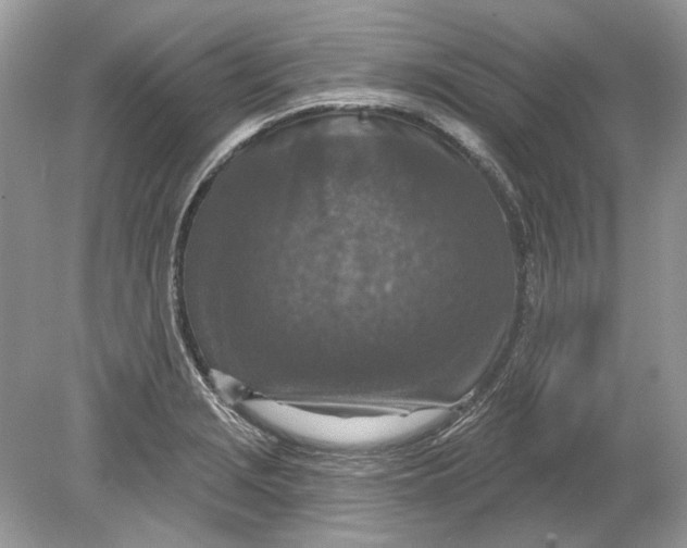 X0000078891229200612042042