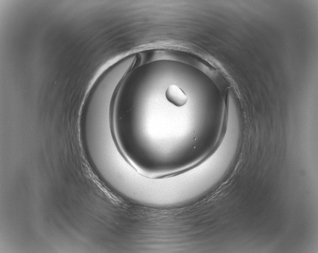 X0000078891230200612042042