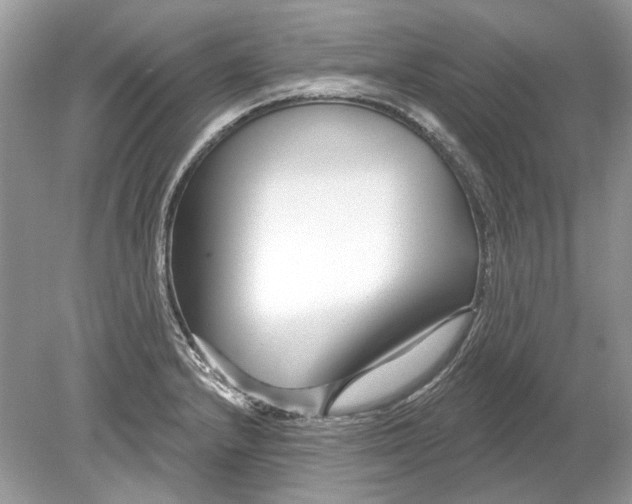 X0000078891232200612042042