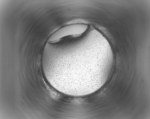 X0000078891233200612042042