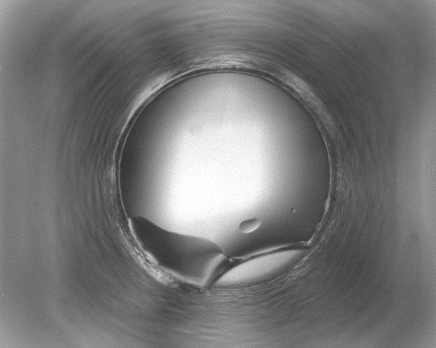 X0000078891234200612042042