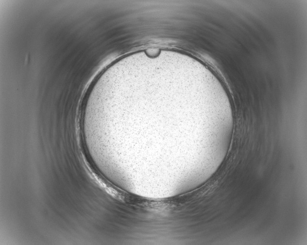 X0000078891235200612042042