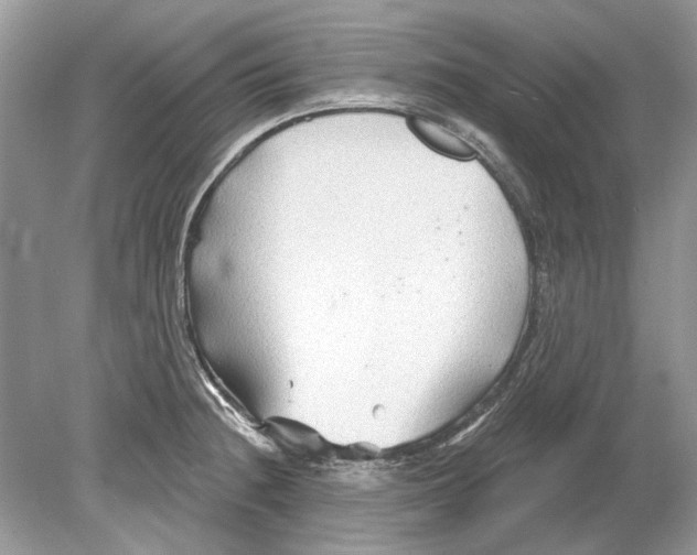 X0000078891236200612042042