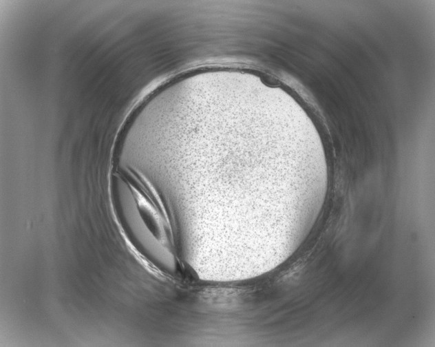 X0000078891237200612042042