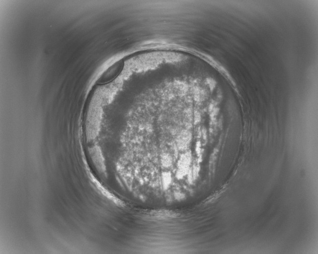 X0000078891239200612042042