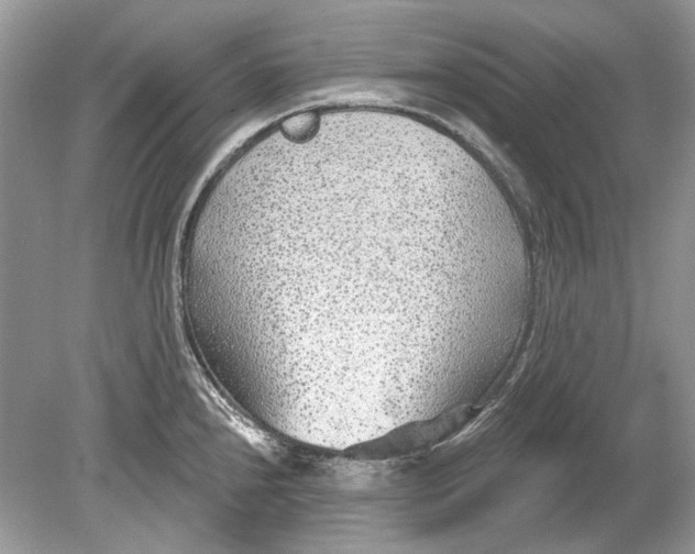 X0000078891240200612042042