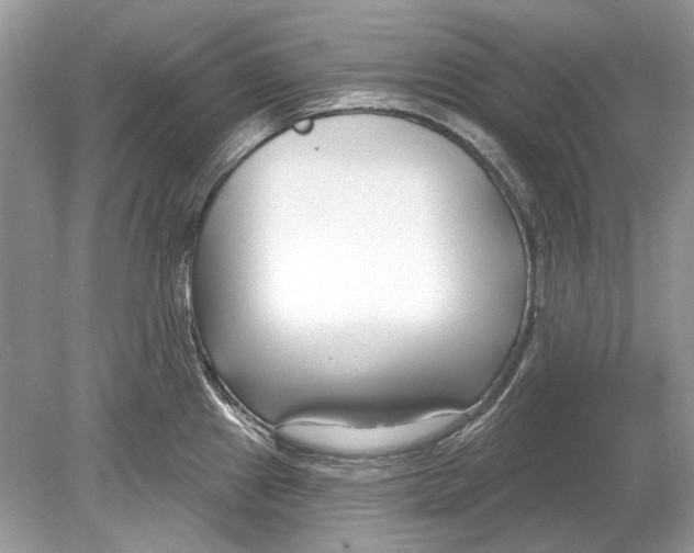 X0000078891241200612042042