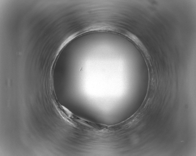 X0000078891242200612042042